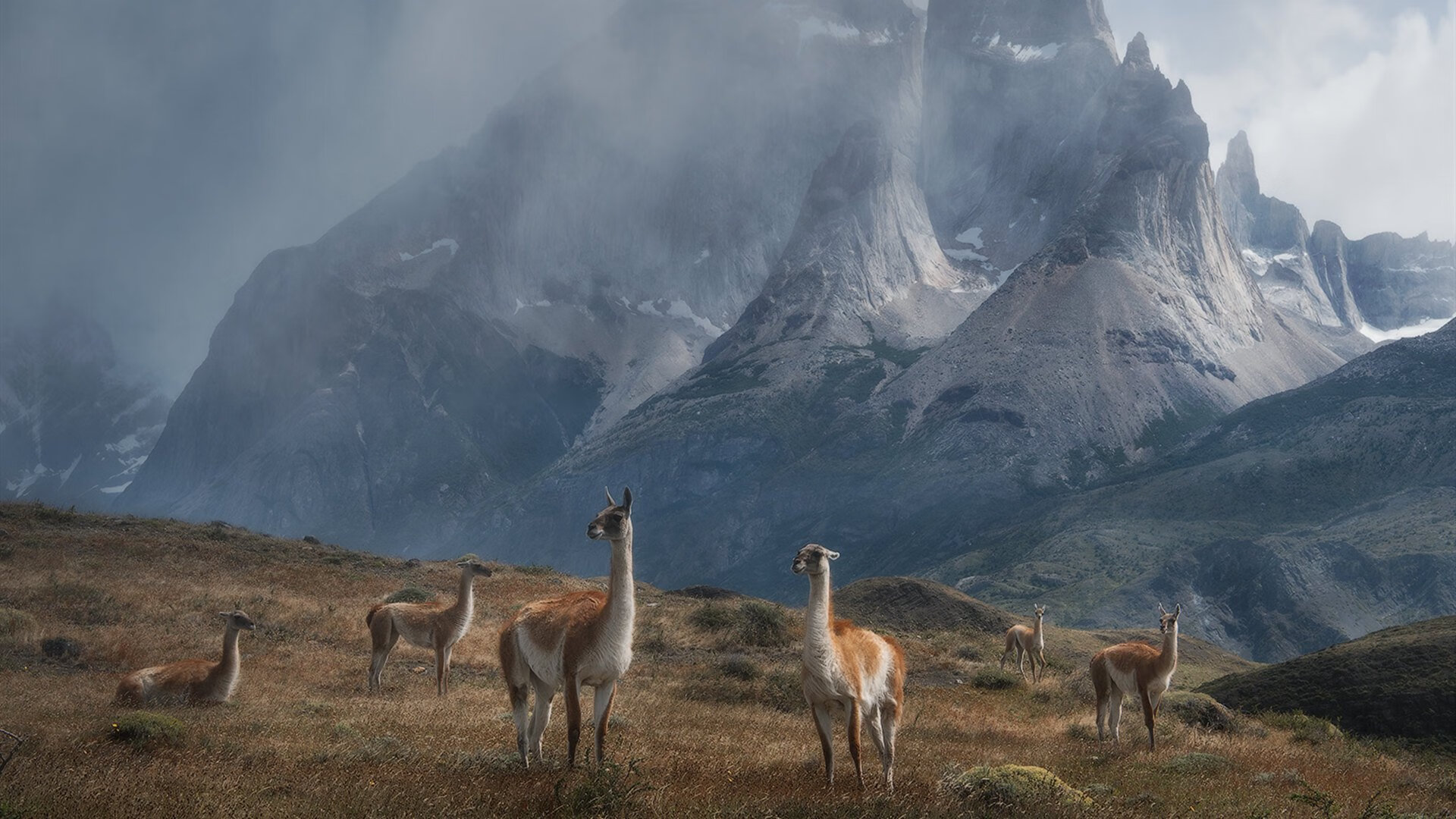 _火箭队状态逐渐回暖，士气提升_，火箭队的