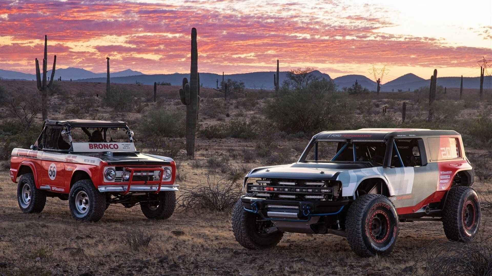 _高山滑雪挑战赛:挑战雪山,追逐速度_,高山滑雪 比赛