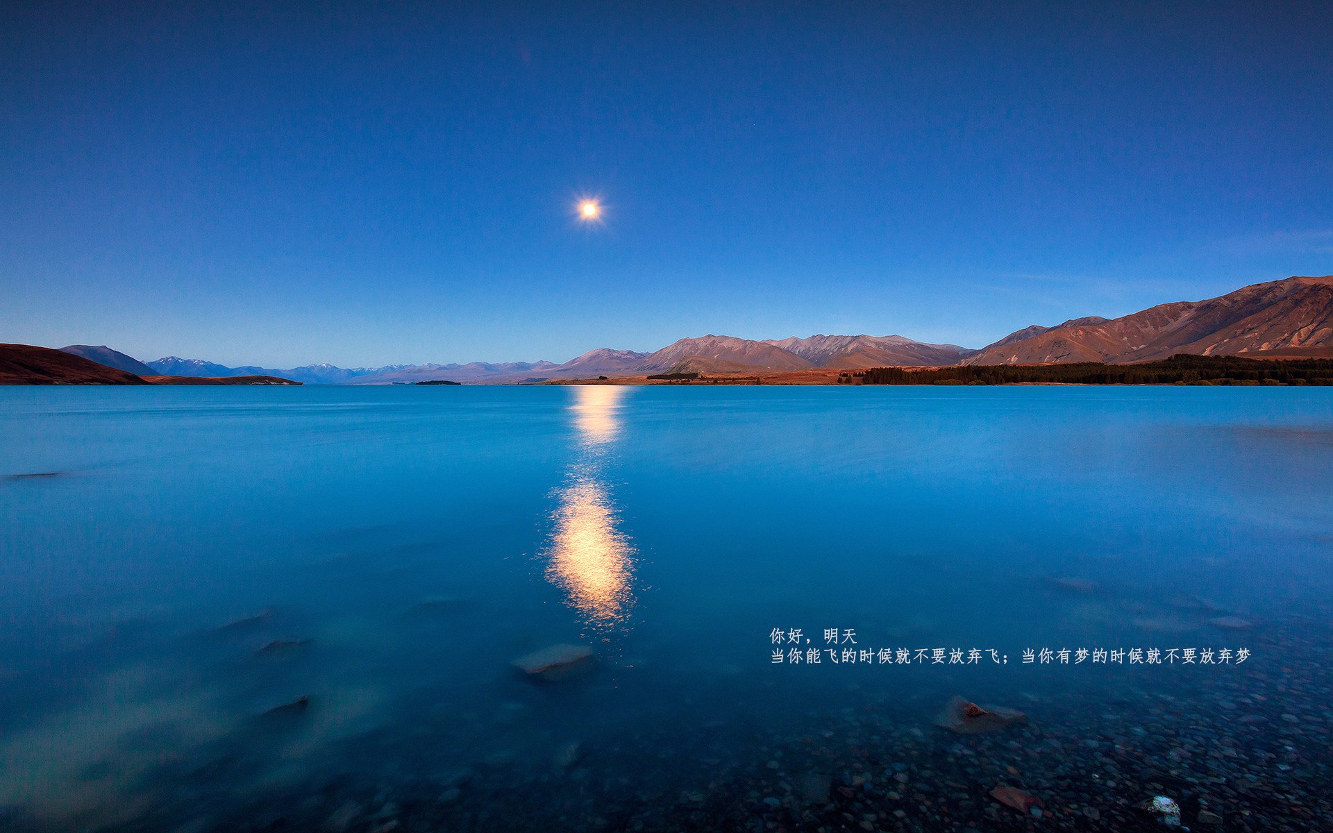 “逆境之光:最惊心动魄的翻盘战役回顾”,片名_逆境