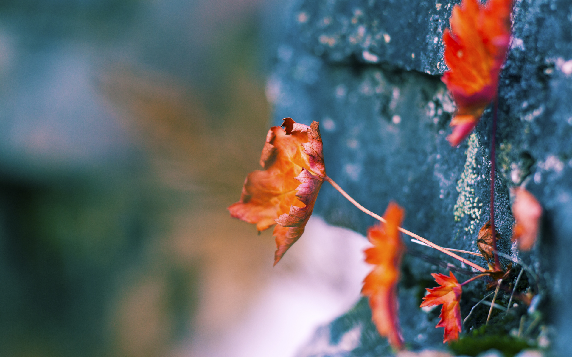 主教练专栏：战术布局的胜负关键在哪？，战术技巧