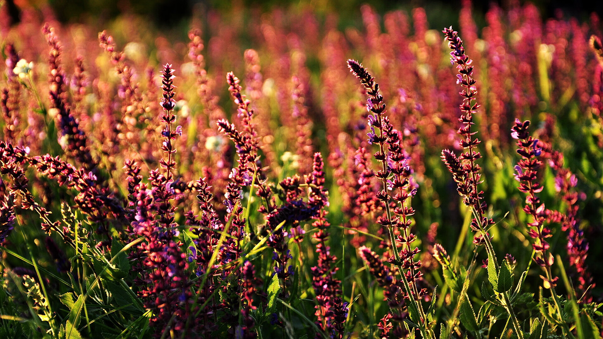 大型充气障碍跑,趣味与运动同步进行,充气问题的典型例题