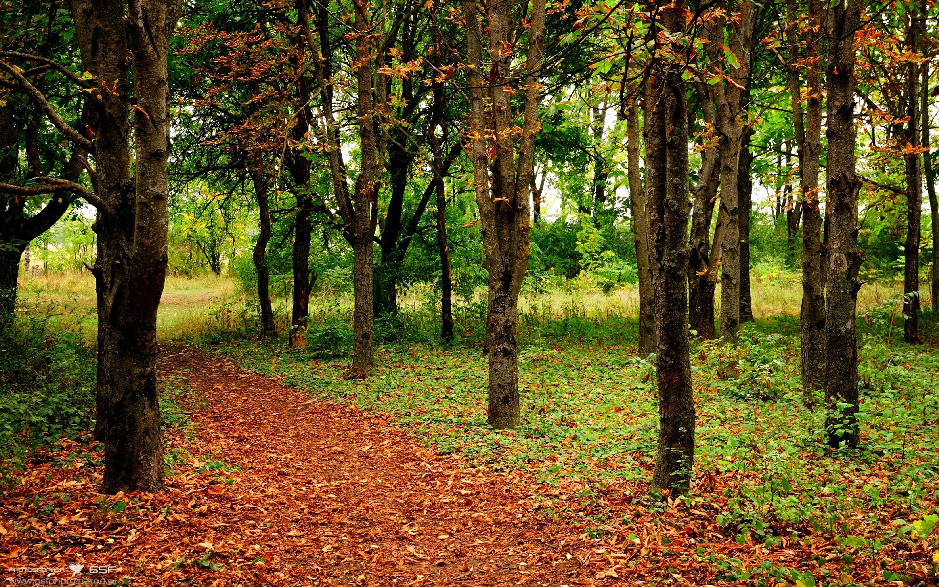 华体会hth登录-女子短跑接力再破亚洲纪录，刷新奥运希望，2021女子短跑
