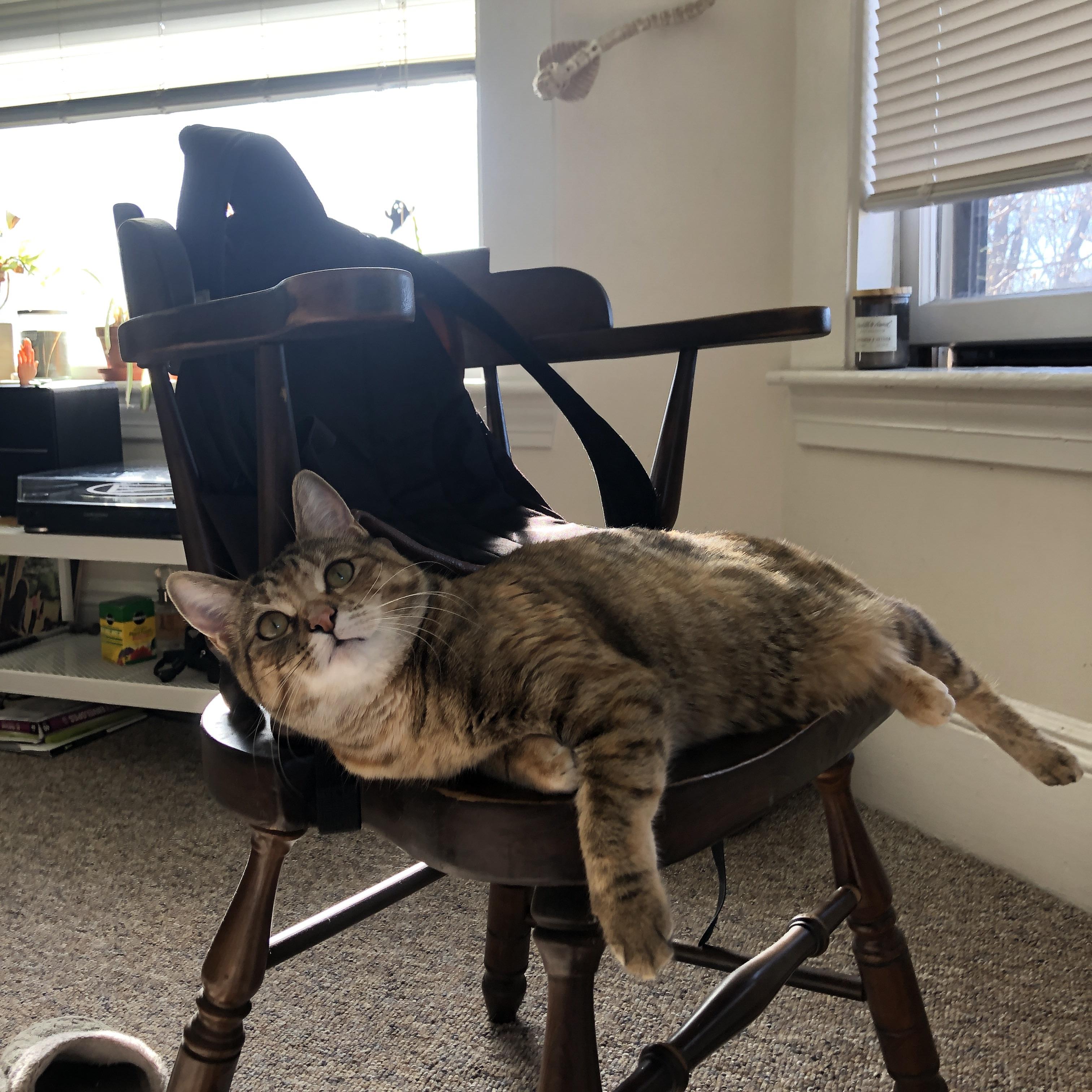 湖人球迷自发制作纪录片《忠于紫金》上线即热播