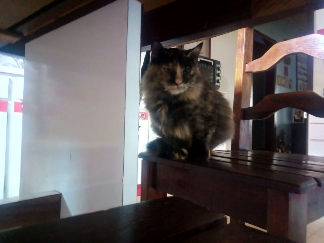 马赛中场指挥官连续多场精彩发挥,马赛主场死忠看台