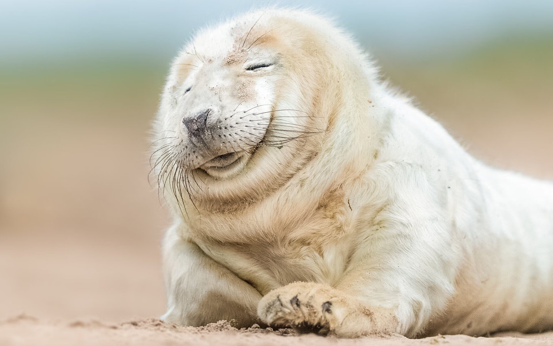 圣埃蒂安队客场挑战,需提高状态迎战,圣埃蒂安vs南特