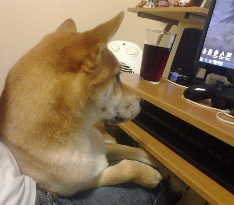 华体会hthapp下载入口-尤文图斯客场不敌阿贾克斯，呈现惨淡状态，尤文1-2阿贾克斯