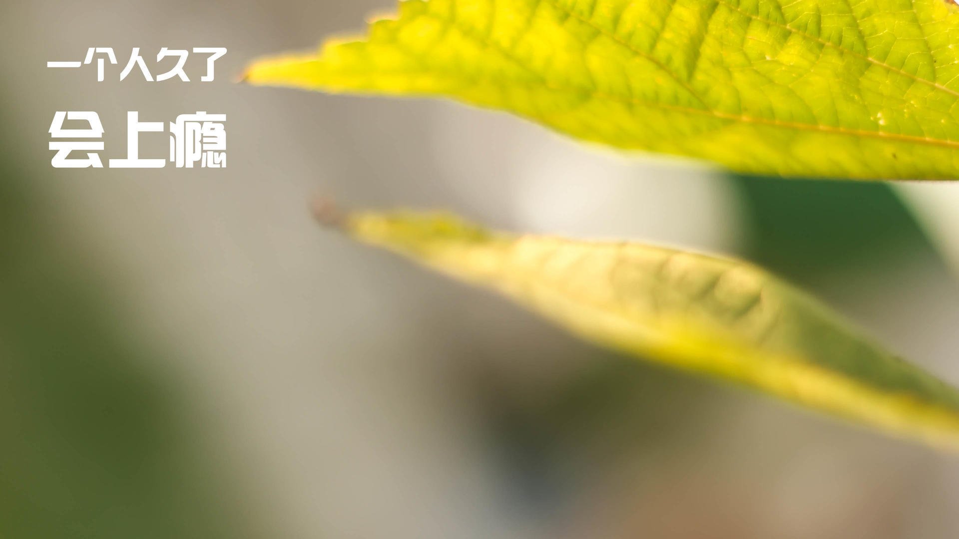 开拓者后卫利拉德四节分带队翻盘，开拓者会退役利拉德球衣吗