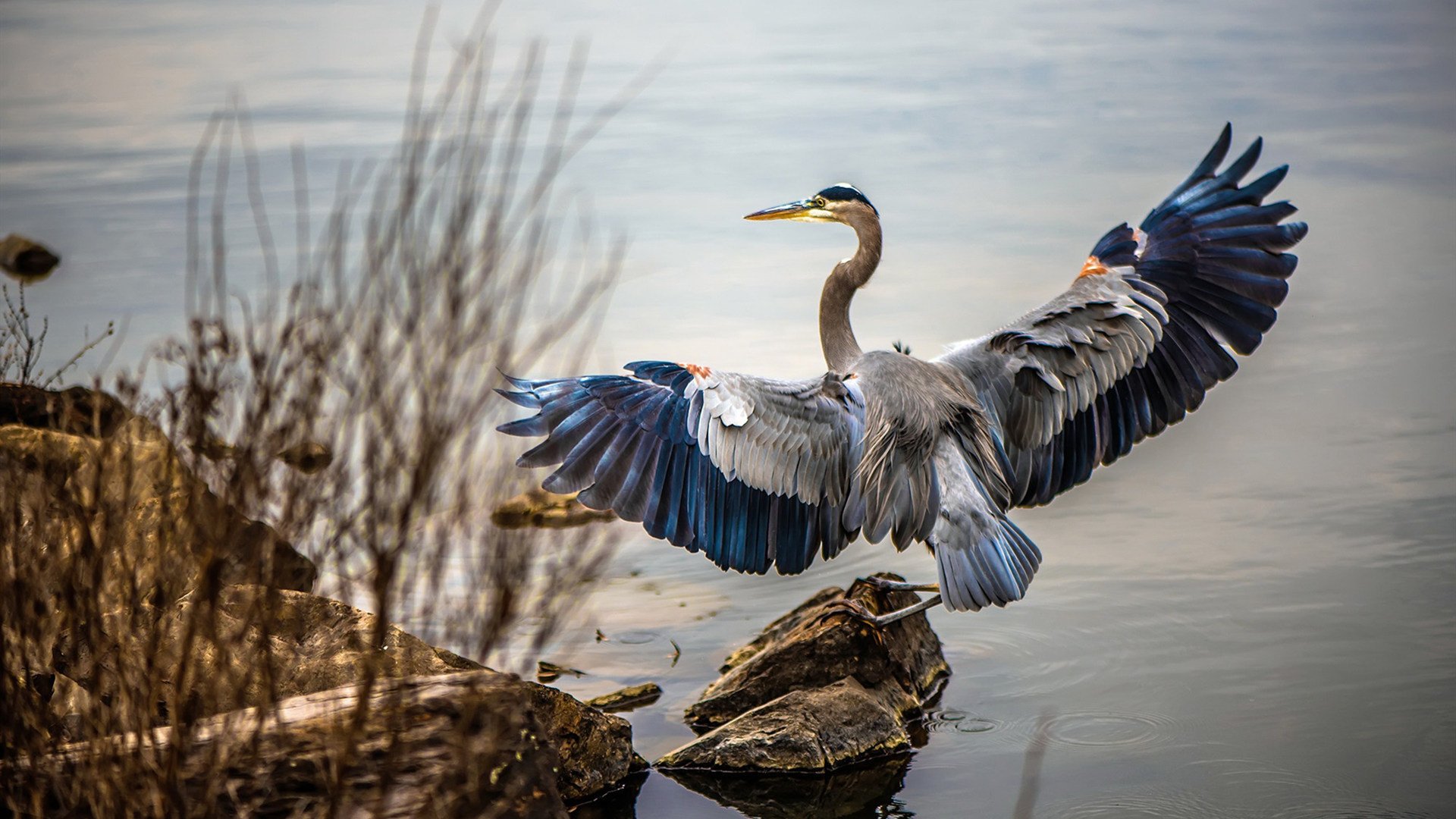 应援声不断：全球篮球巨星迎战擂台激情碰撞，篮球队应援