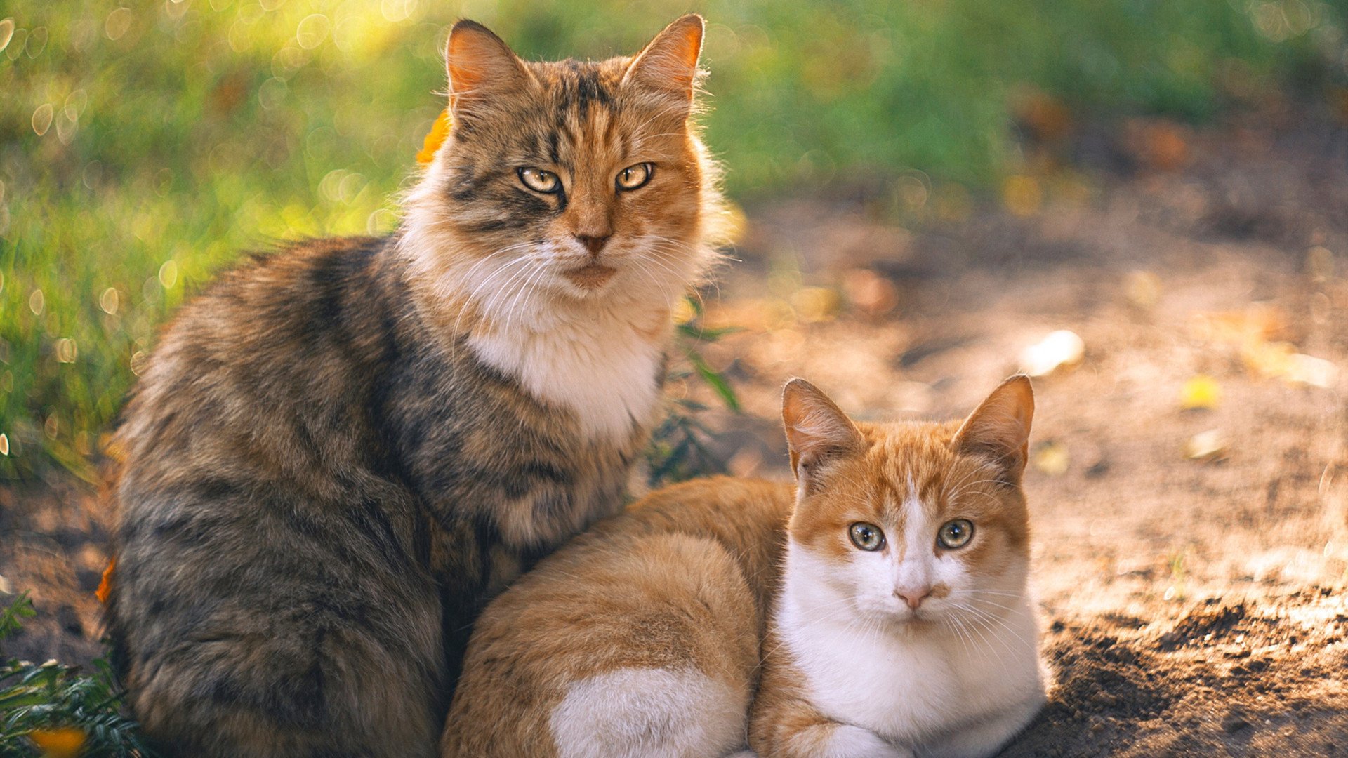 毕尔巴鄂竞技客场1-1战平西班牙人,双方互有攻守,毕尔巴鄂竞技换帅