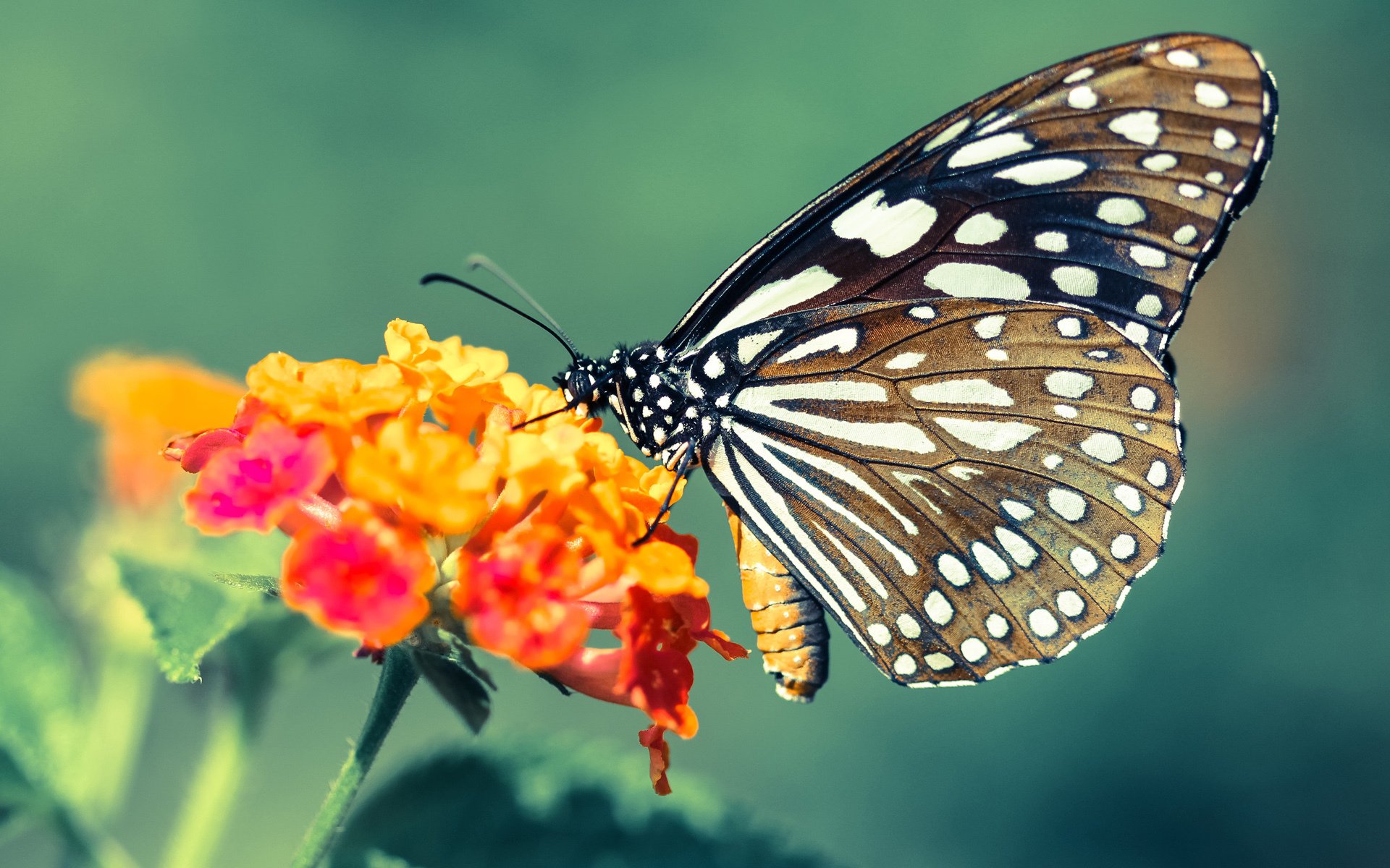 球队是否应设立球员自我成长观察日,球队管理规章制度