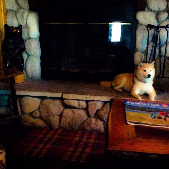 华体会官方网站-琉球黄金国王防守强度提升明显，琉球王国在哪