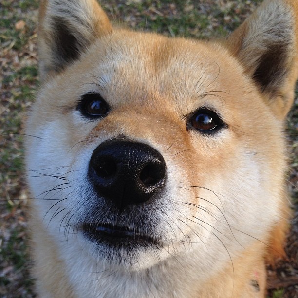 青少年运动损伤预防技术及实践研究，青少年运动损伤预防技术及实践研究论文