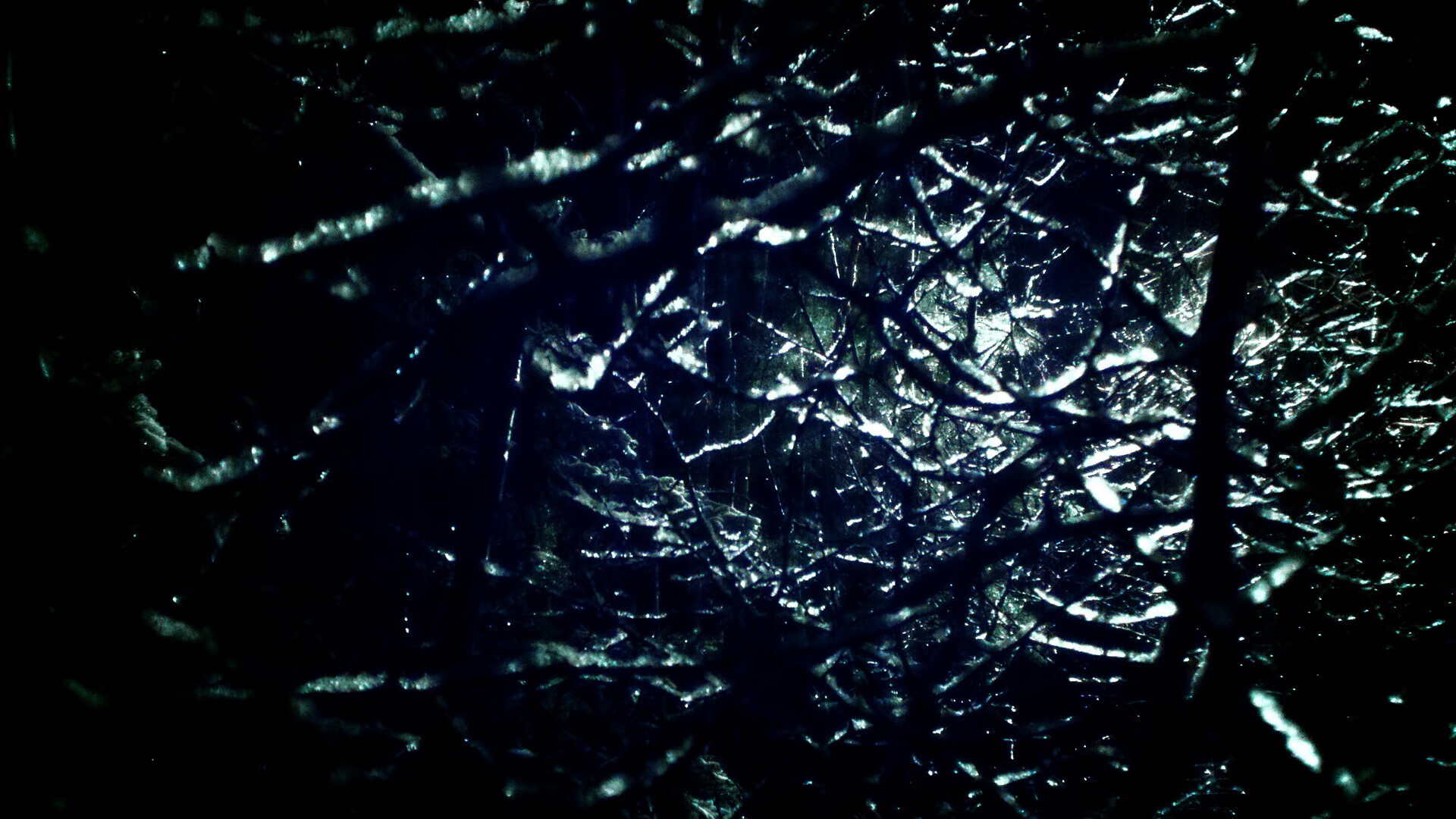 突尼斯希望边锋突破活跃，全场亮点，双色球红球杀号牛彩网