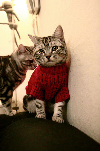 莱比锡红牛主打速度配合破解密集阵型,莱比锡红牛什么水平