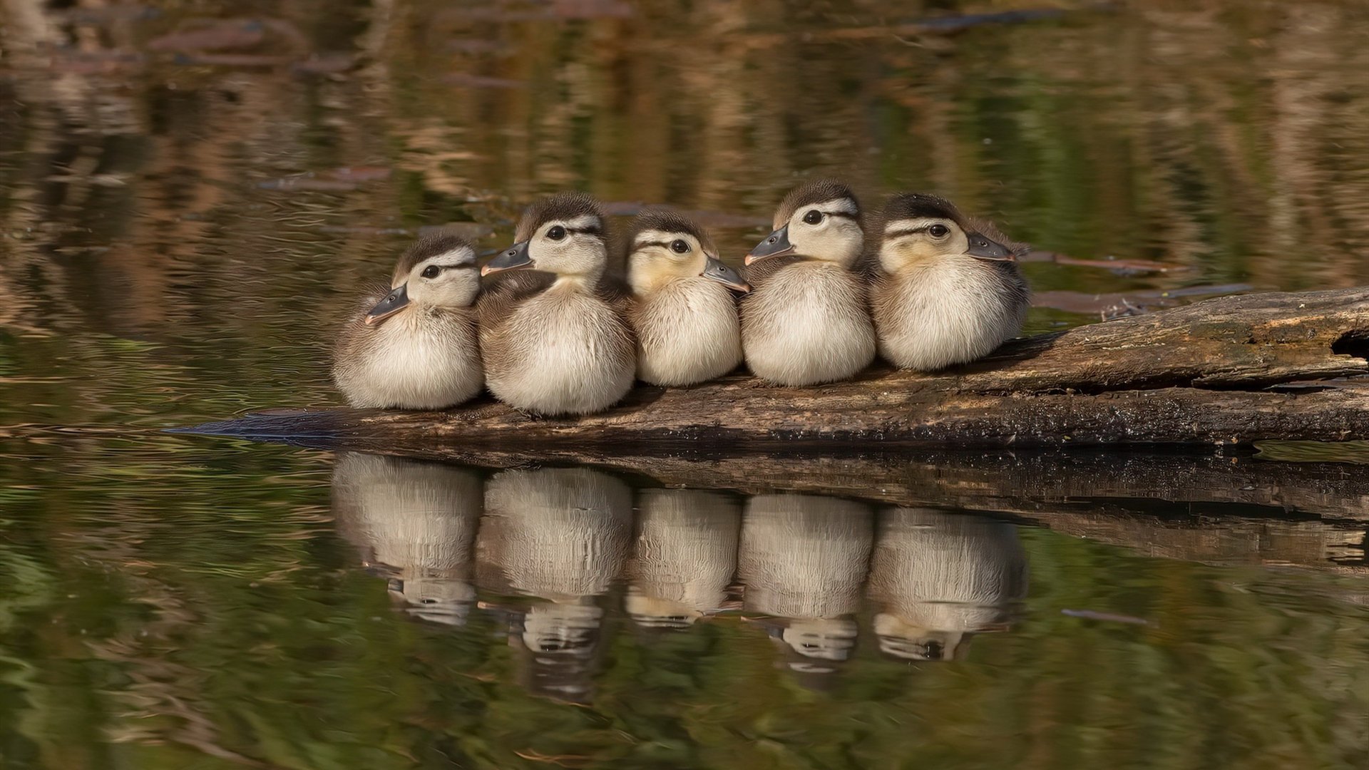 欧洲杯激烈对抗:战术变换引领新潮流!,欧洲杯对抗表