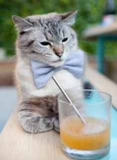 华体会hth官网-澳大利亚袋鼠队通过精准传球拉开攻势空间，澳大利亚袋鼠问题