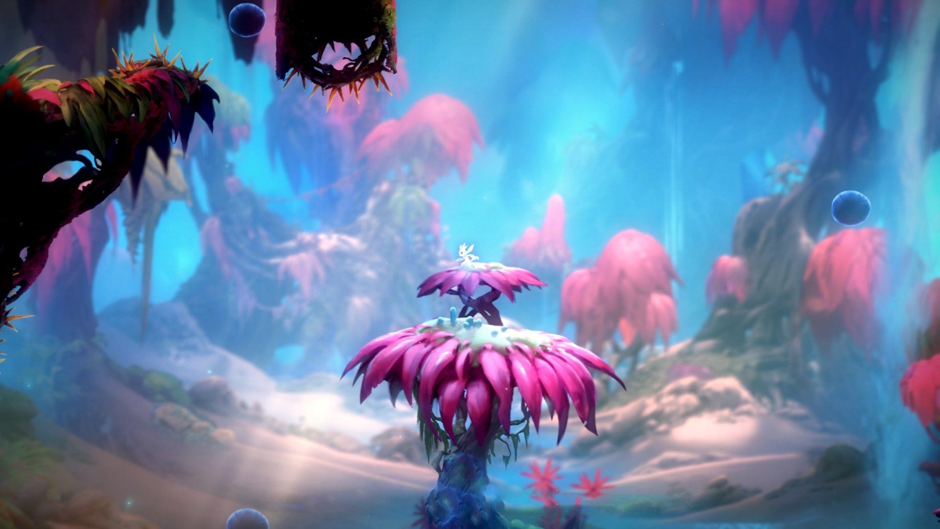 华体会登陆-省级青训营陆续开放为未来储备人才打造基础，青训营什么时候开始的