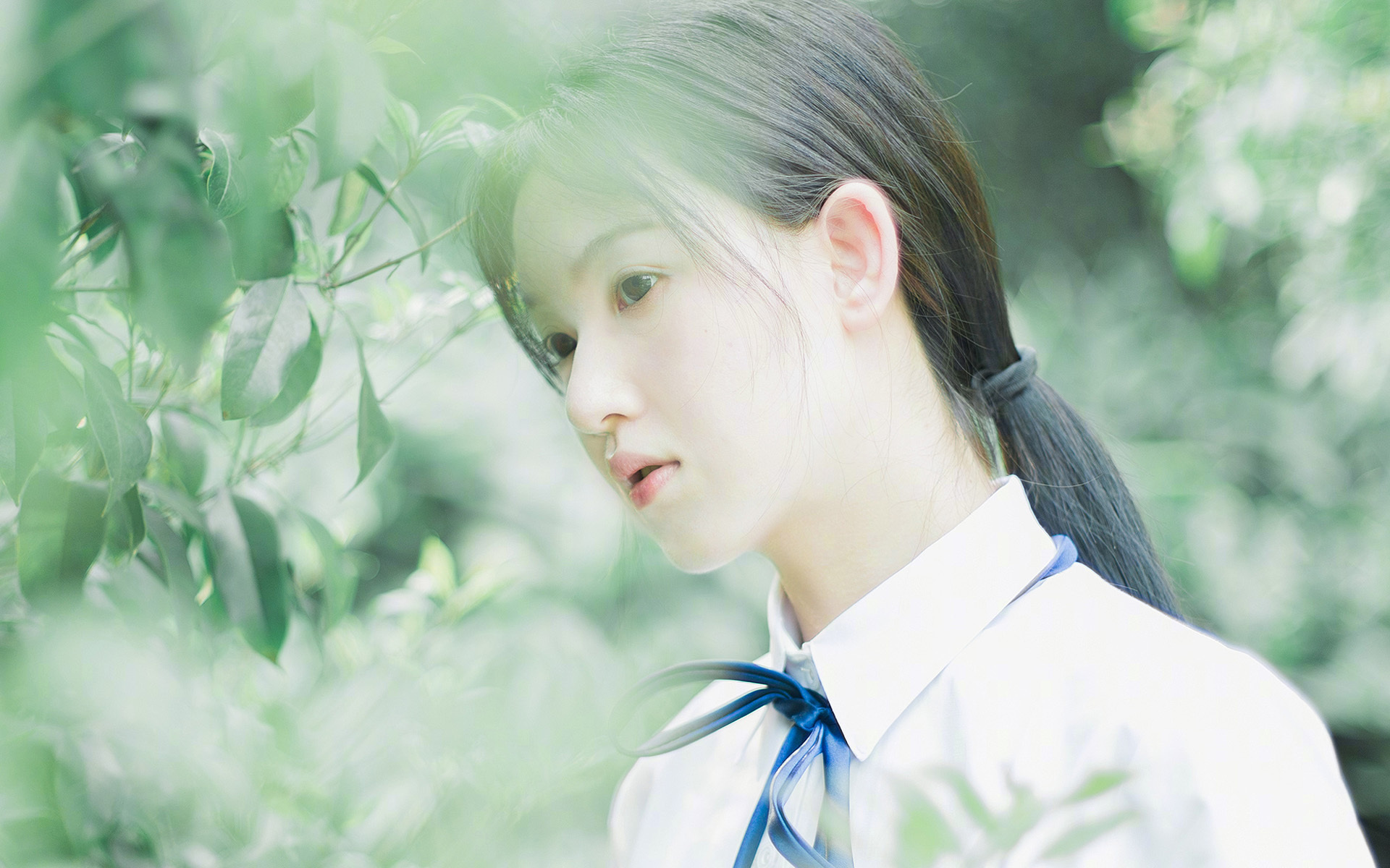 苏炳添新纪录被写入体育教材推广,苏炳添授课