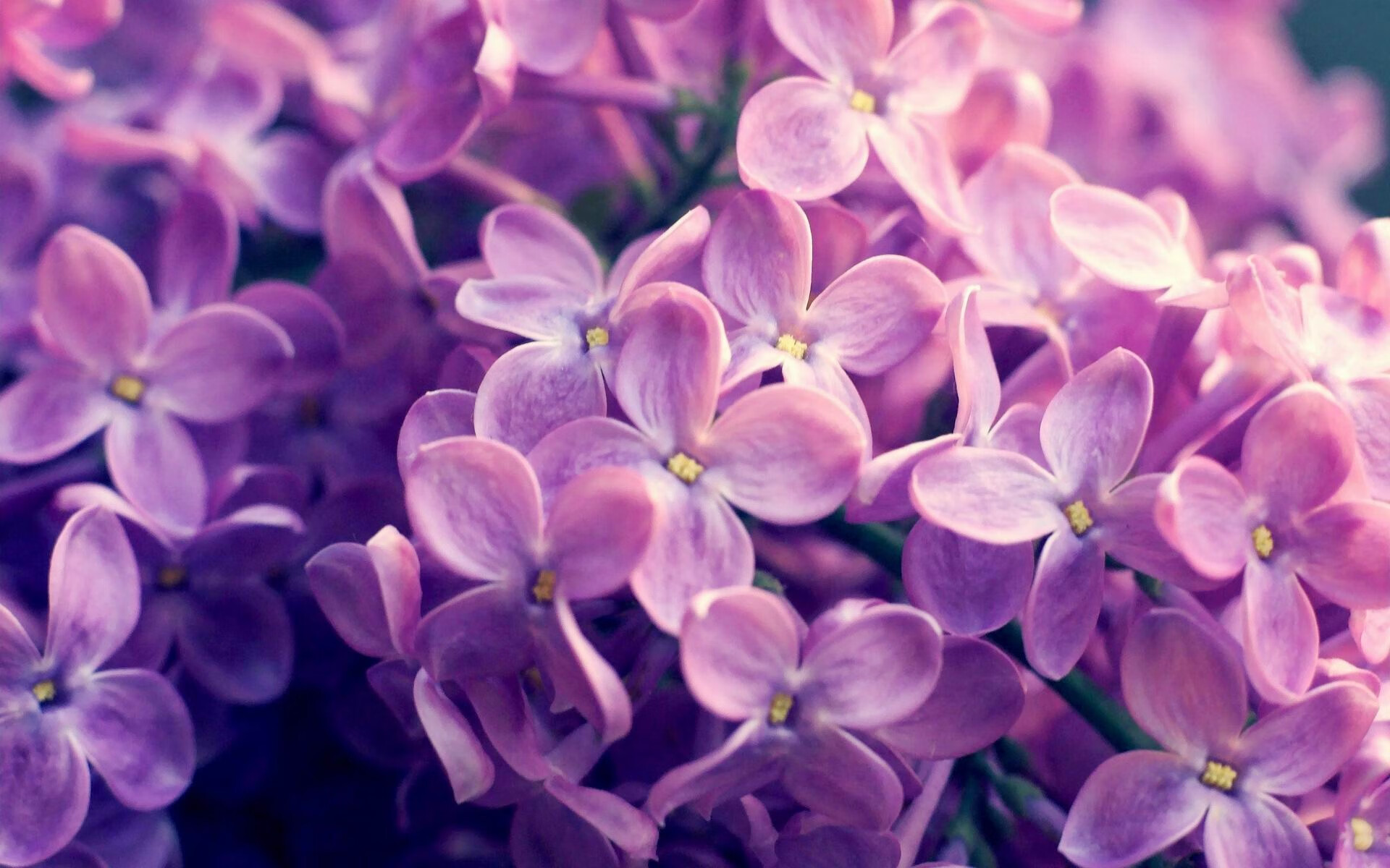 华体会hthapp登入-青年运动员出征国际赛场积累宝贵经验助力成长，国际青年运动会